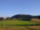 Thumbs/tn_PIC00025.jpg