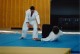 Thumbs/tn_00008.jpg
