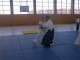 Thumbs/tn_PIC00028.jpg