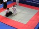 Thumbs/tn_19a.jpg
